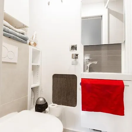 Studio a Paris et désinfection rigoureux du logis-2